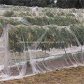 Australisches knochenloses Vogelnetz aus Polypropylen (PP)